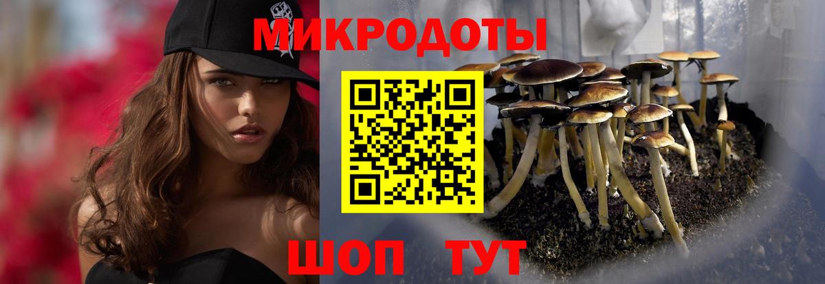 Гагарин  Псилоцибиновые грибы MAGIC MUSHROOMS  Галлюциногенные грибы мицелий  Вход с VPN 